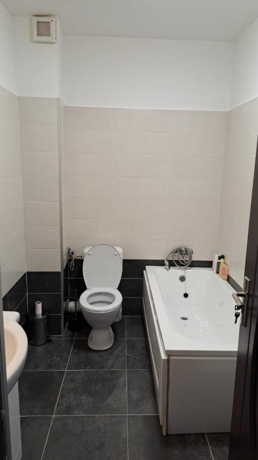 Cozy Nest Apartment Sinnicoara Ngoại thất bức ảnh
